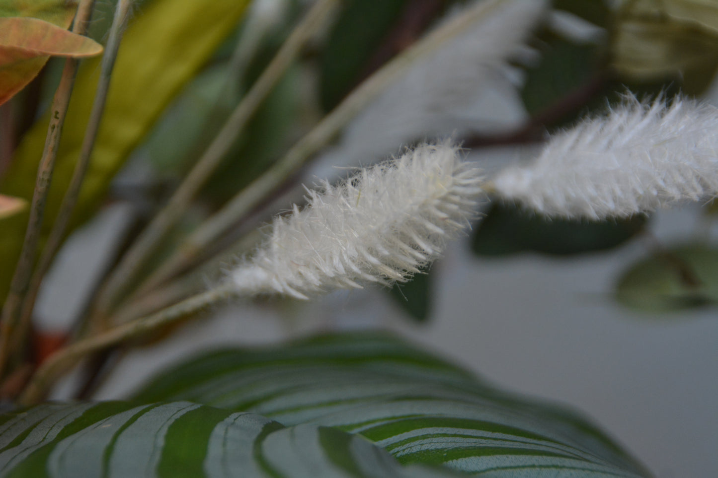 Boeket Fleura